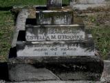 image of grave number 838778